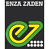 Enza Zaden