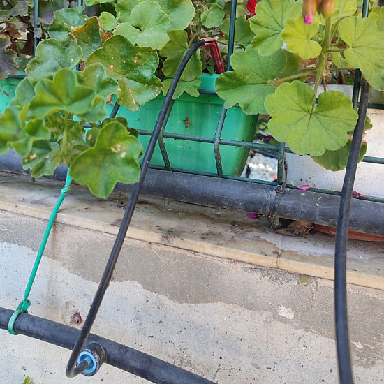 Support spike 5 mm -Колче за микротръба 5 мм