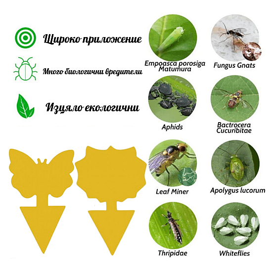 Жълти уловки - 10  бр. лепливи,  двустранни  капани с различни форми