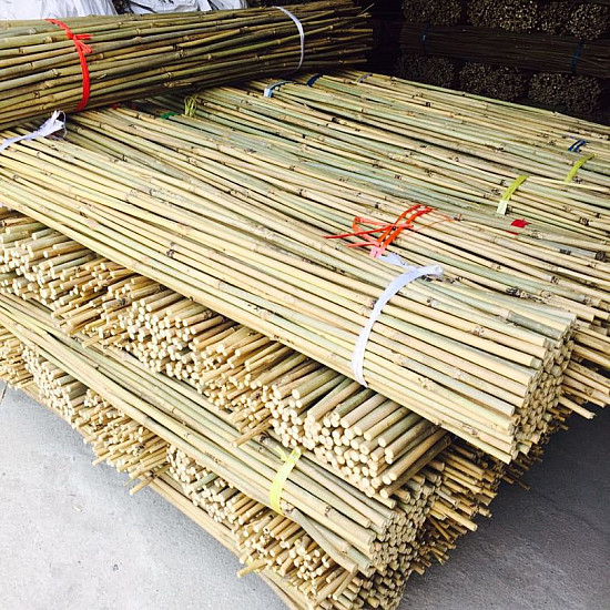 Бамбукови колове BAMBOO големи размери 