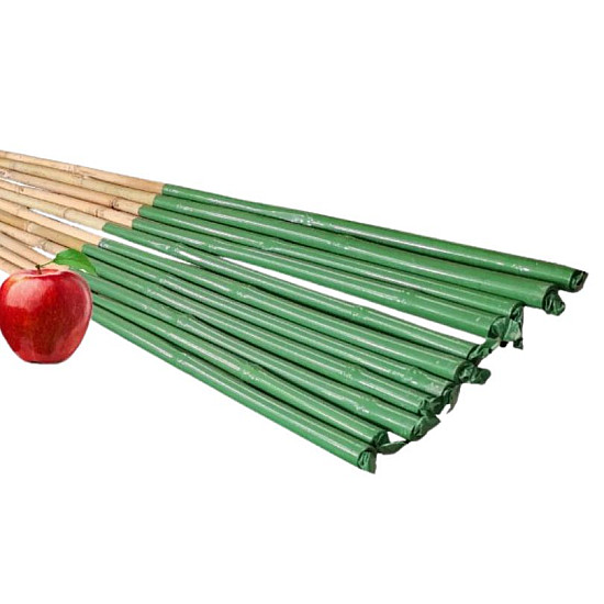 Бамбукови колове BAMBOO с PVC покритие