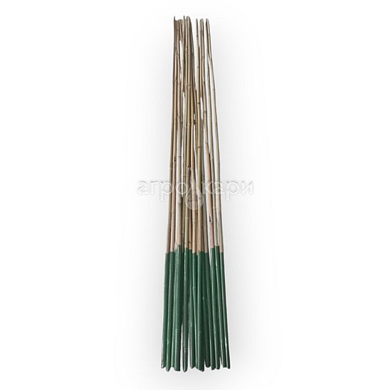 Бамбукови колове BAMBOO с PVC покритие