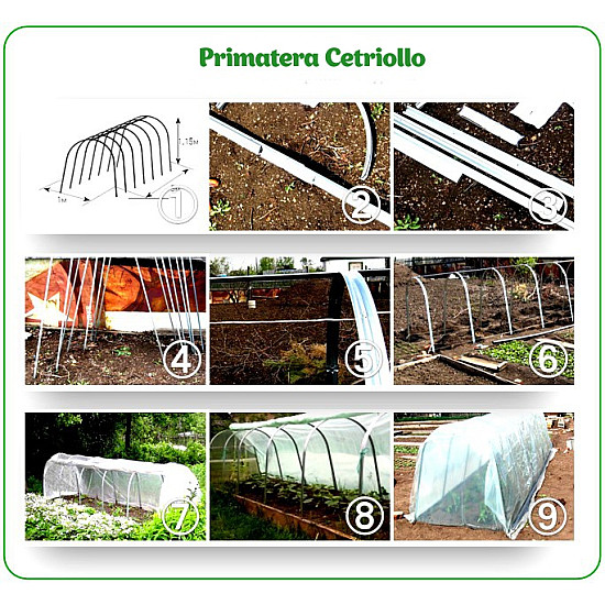 Оранжерия Primaterra Cetriolo