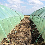 Лента за подкрепа на оранжерии- 250 мик, UV