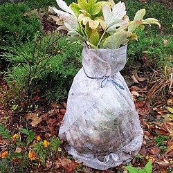 Зимно покривало за растения 50 гр. Agrimpex