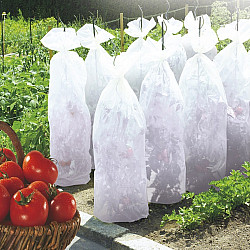 Покривало срещу слана TOMATOTEX