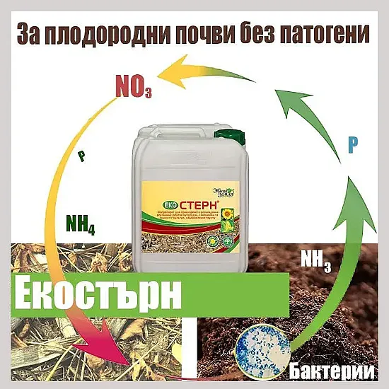 Екостърн