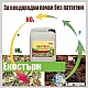 Екостърн