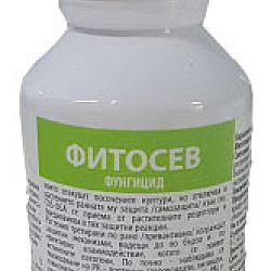 Фитосев /мессажер/