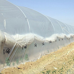 Израелски многослоен полиетилен за оранжерии - 125 mic