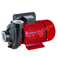 Електрическа помпа Raider RD-2DK20