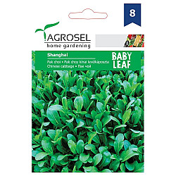 Китайско зеле Пак чой Шанхай baby leaf