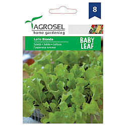 Салата Лоло Бионда baby leaf