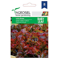 Салата Лоло Роса baby leaf