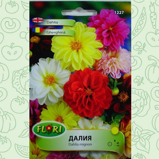 Далия