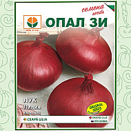 Лук Лилия 2 гр. Опал Зи