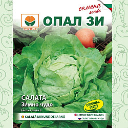 Салата Зимно Чудо 2 гр. - Опал Зи