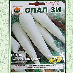 Ряпа Зимна Бяла - Миновезе 5 гр.