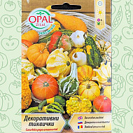 Тиквички Декоративни - Mикс