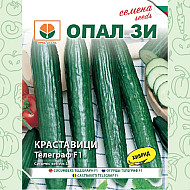 Краставици Телеграф F1