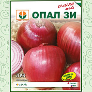 Лук Салатен Флоренция 2 гр. Опал Зи