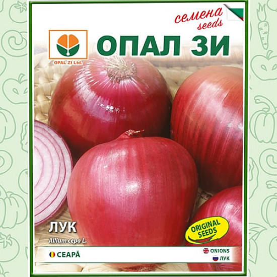 Лук Салатен Флоренция Опал Зи