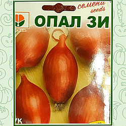 Лук Роса Лунга 2 гр. Опал Зи