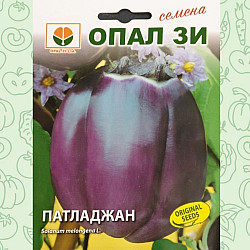 Патладжан Виолет ди Флоренс 