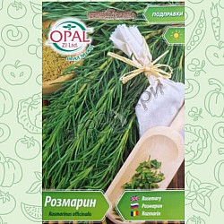 Розмарин Опал Зи