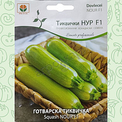 Готварска Тиквичка - НУР F1 -  10 сем.