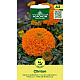 Купи Африкански тагетис Клинтън | AFRICAN MARIGOLD CLINTON  от Seklos - Цветя
