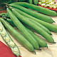 Купи Бакла Агуадулсе Суперсимония | BROAD BEAN AGUADULCE SUPERSIMONIA  от Seklos - БИО СЕМЕНА