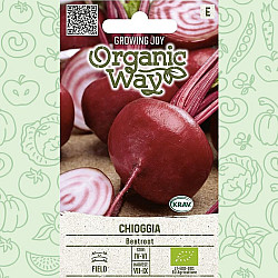 Червено цвекло Чиогиа | Beetroot CHIOGGIA