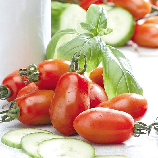 Домати Сан Марцано 2 | TOMATO S. MARZANO 2