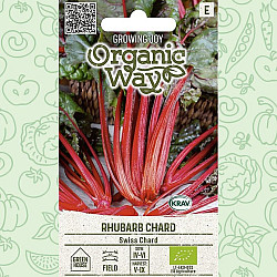 Манголд Чард | SWISS CHARD RHUBARB CHARD