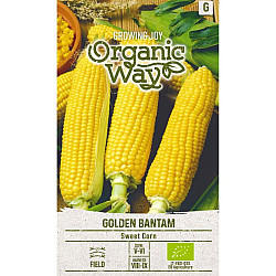 Био Сладка царевица Златен бантам | SWEET CORN GOLDEN BANTAM