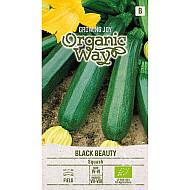 Тиквичка Бляк Бюти | SQUASH BLACK BEAUTY