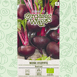 Червено цвекло Черно Египетско | Beetroot NOIRE D'EGYPTE