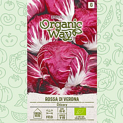 Цикория Роса ди Верона | CHICORY ROSSA DI VERONA