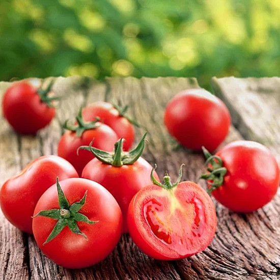 Домати Aче 55 VF | TOMATO ACE 55 VF