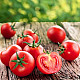 Домати Aче 55 VF | TOMATO ACE 55 VF