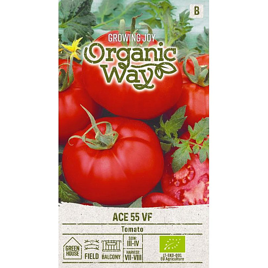 Домати Aче 55 VF | TOMATO ACE 55 VF