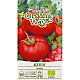 Домати Aче 55 VF | TOMATO ACE 55 VF