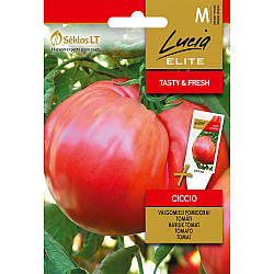 Домати Чичио| TOMATO CICCIO