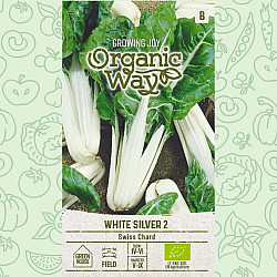Манголд Сребристо бял | SWISS CHARD WHITE SILVER 2