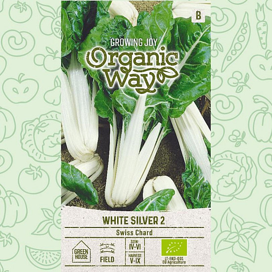 Манголд Сребристо бял | SWISS CHARD WHITE SILVER 2