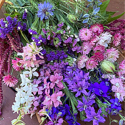 Цветен микс Дуо Лила | FLOWER MIX DUET LILAC