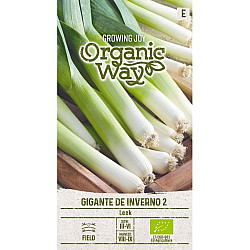 Праз Гигант де Инверно 2 | LEEK GIGANTE DE INVERNO 2