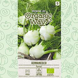 Резене Романеско органик| FENNEL ROMANESCO
