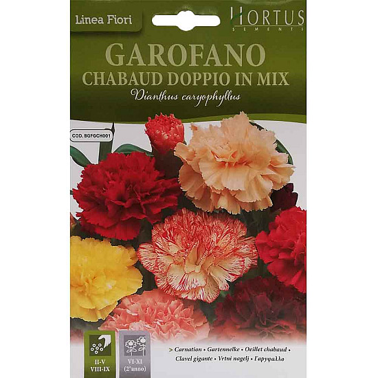 Карамфил Градински - Garofano Chabaud